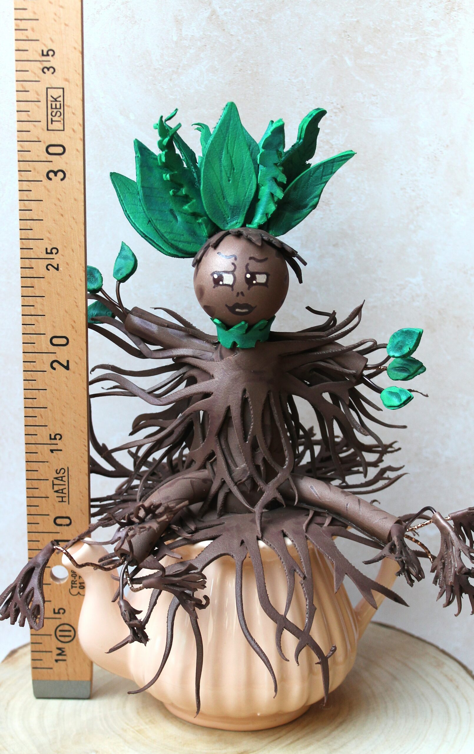 la hauteur de la mandragore magique